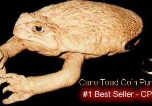 Toad Purse Best Seller
