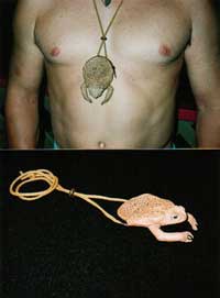 Toad Neck Purse With Legs On String - Same Size As Coin Purse