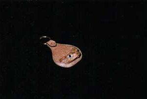 Toad Key Ring