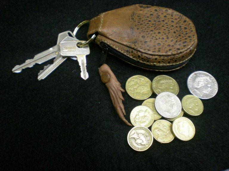 Toad purse with a keyring attached