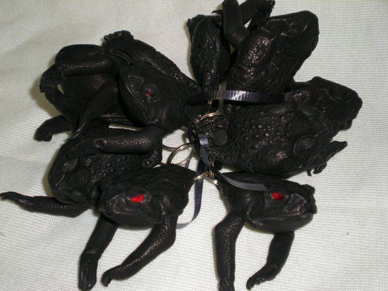 a bunch Key rings with very dark toads on the end